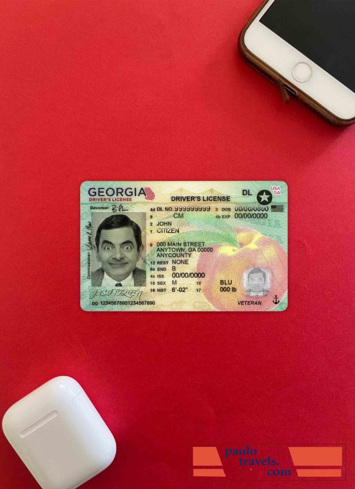 USA Georgia DL (2019   present) photolook FRONT PSD template